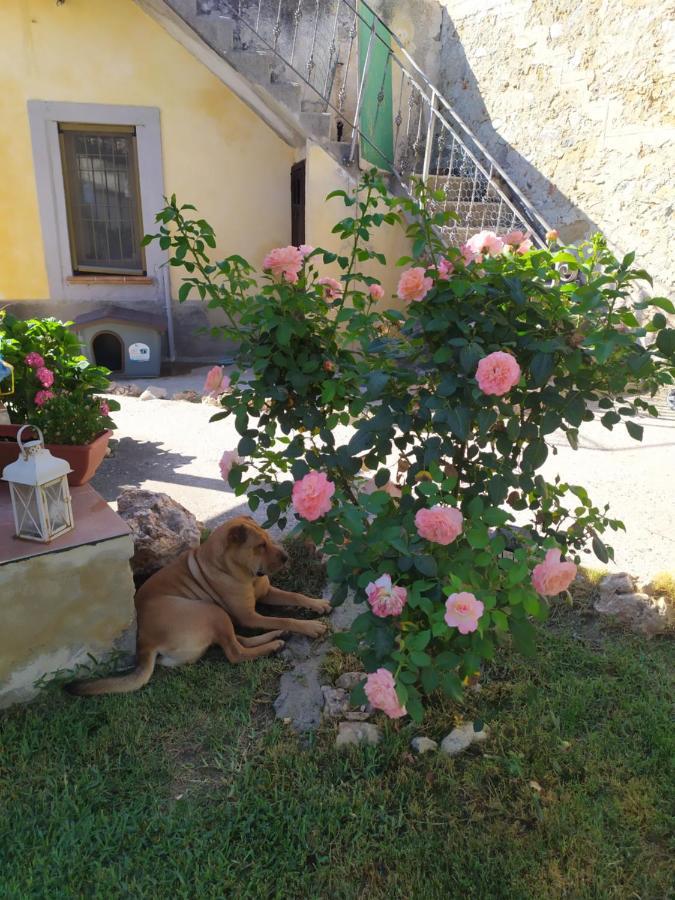 Il Giardino Dei Semplici B&B Caulonia Luaran gambar